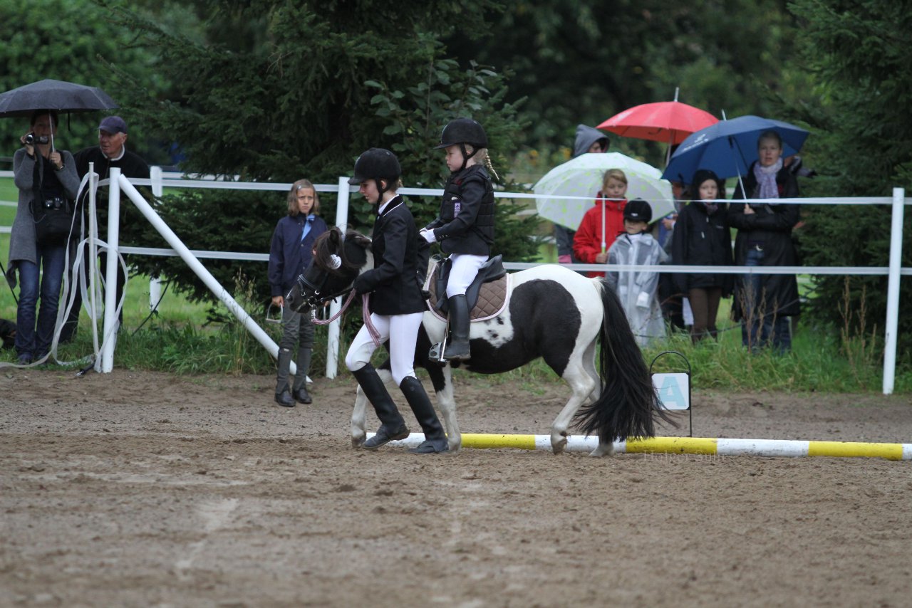 Bild 555 - WBO-Turnier am 18.9.11